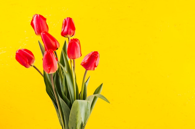 Foto gratuita ramo de flores de tulipán