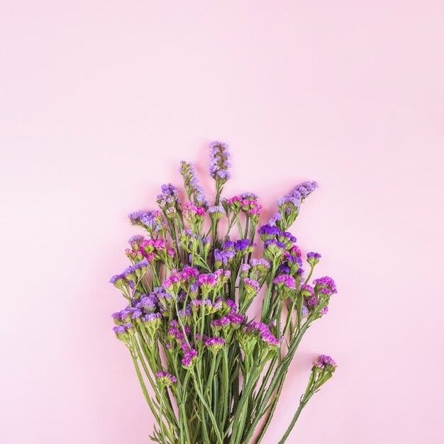 Ramo de flores violeta y rosa contra fondo rosa