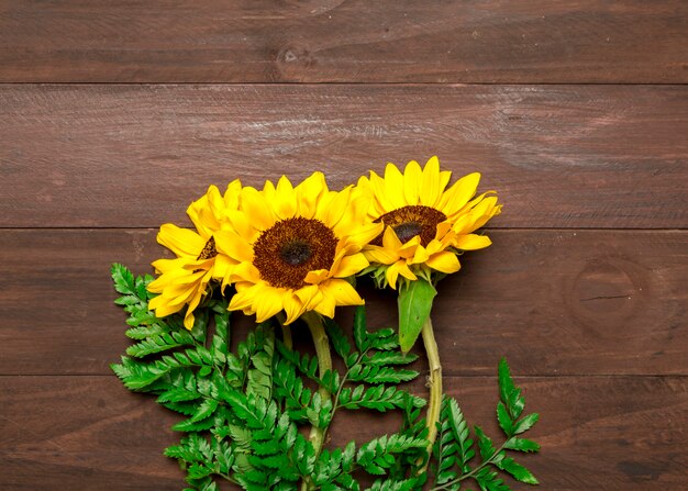 Ramo de girasoles y hojas de helecho.