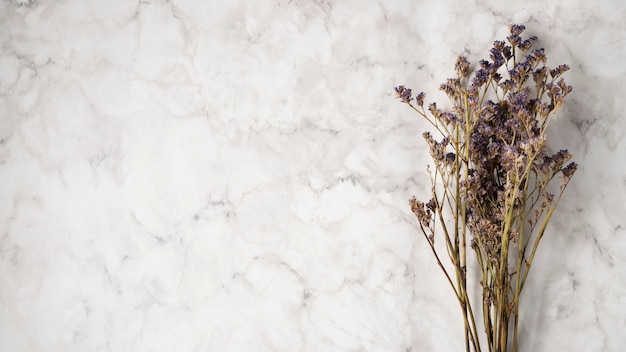 Foto gratuita ramo de lavanda con espacio de copia