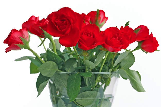 Ramo de rosas rojas en florero de vidrio sobre fondo blanco.