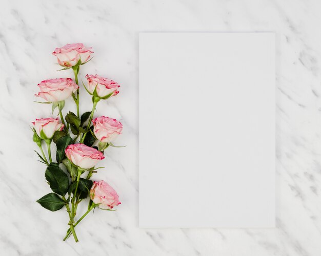 Ramo de rosas con tarjeta en blanco