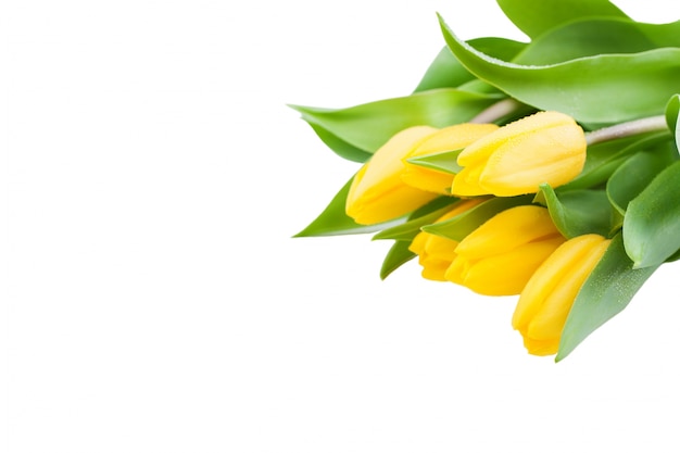 Ramo de tulipanes amarillos