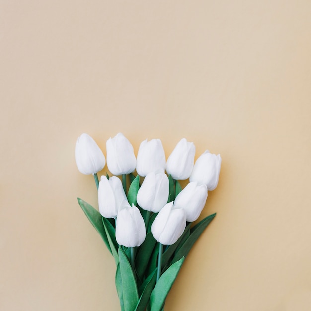 Foto gratuita ramo de tulipanes en fondo amarillo pastel