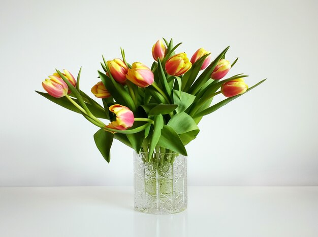 Ramo de tulipanes naranjas en un jarrón bajo las luces sobre un fondo blanco.