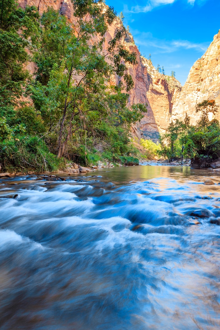 Foto gratuito rápidos poco profundos del virgin river narrows en el parque nacional zion - utah