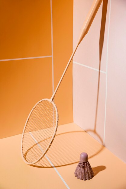 Raqueta de bádminton y volante