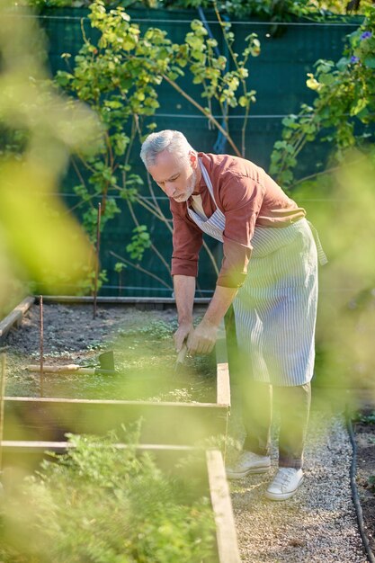 rastrillar Jardinero canoso rastrillando el suelo y luciendo ocupado