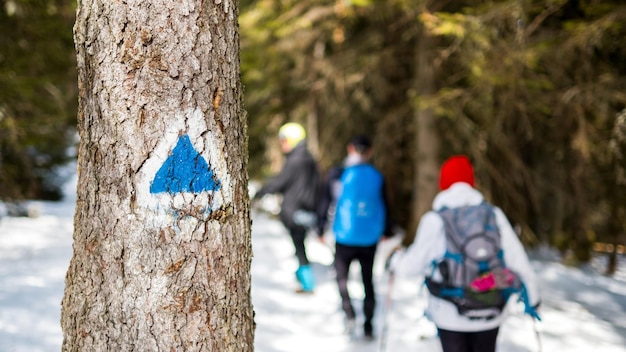 Árbol con un cartel en una excursión de senderismo en primavera Cárpatos Rumania Un grupo de personas con mochilas