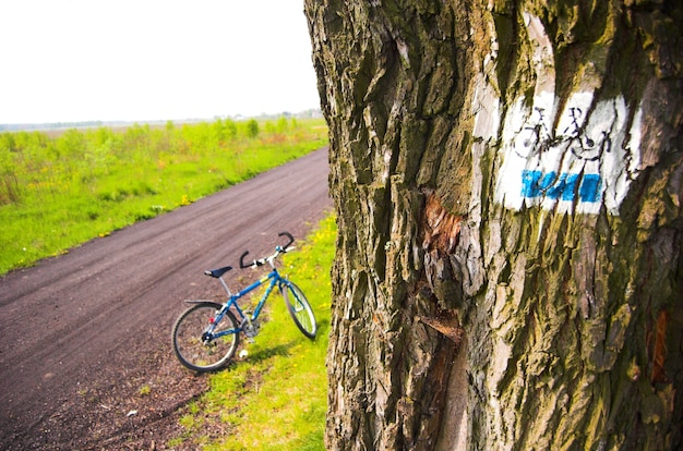 Árbol con dibujo de bicicleta