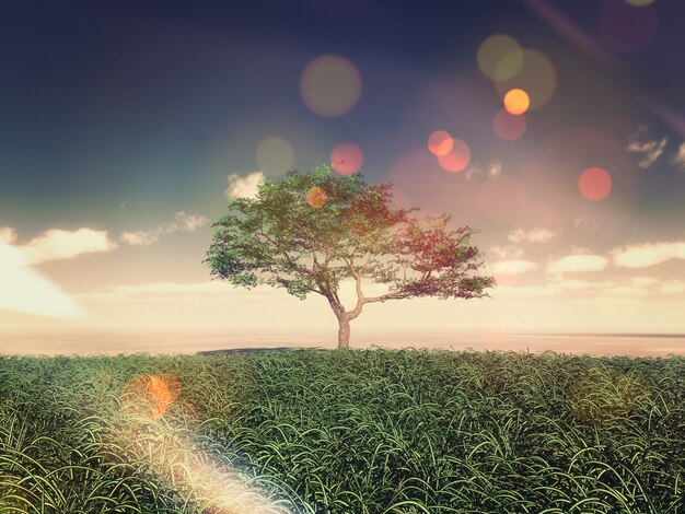 Árbol en mitad de un campo