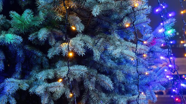 Árbol de Navidad con luces en la noche.