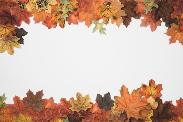 Árbol de otoño deja el patrón de marco lateral superior