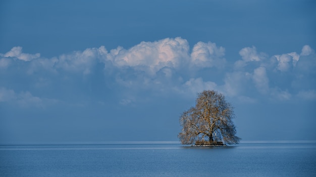 Árbol solitario en el mar con un cielo azul nublado