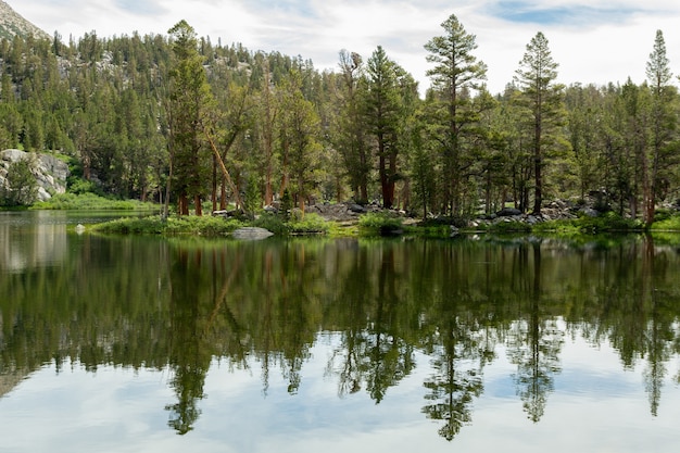 Árboles del bosque reflejado en Big Pine Lakes, California, EE.