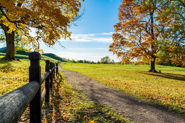 Árboles cerca de la carretera con las colinas en otoño.