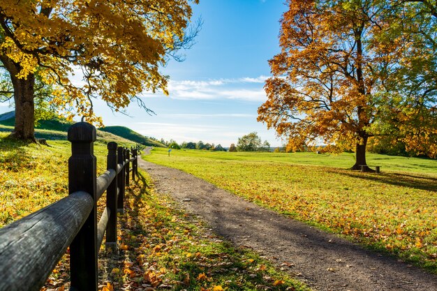 Árboles cerca de la carretera con las colinas en otoño.