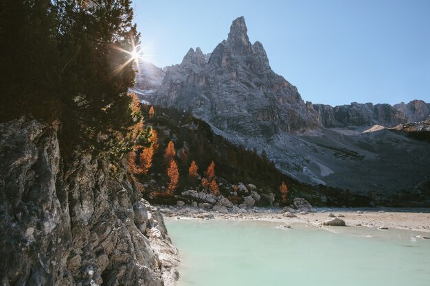 Árboles en la montaña cerca del cuerpo de agua