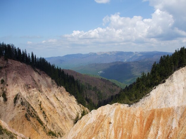 Árboles en las montañas del Parque Natural de Apuseni en Rumania