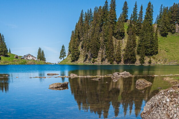 Árboles en las montañas rodeadas por el lago Lac Lioson en Suiza