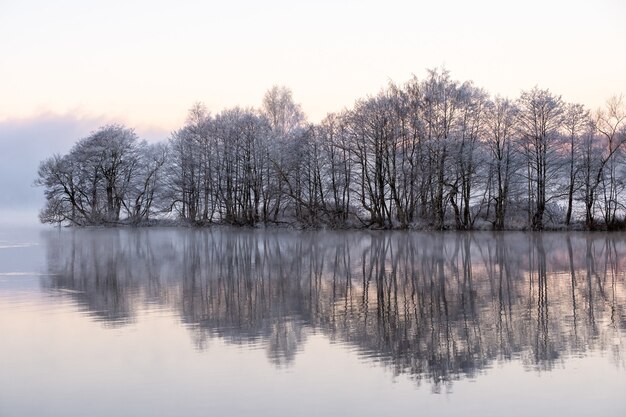 Árboles nevados cerca del lago con reflejos en el agua en un día brumoso