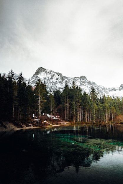 Árboles verdes cerca del cuerpo de agua y montaña.