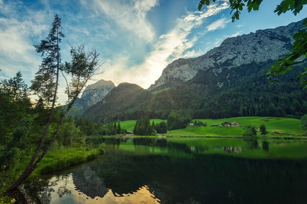 Árboles verdes cerca del lago y la montaña bajo un cielo azul durante el día