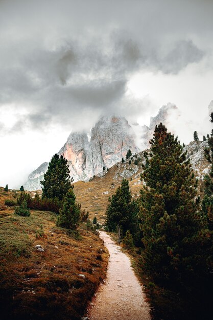 Árboles verdes cerca de la montaña bajo el cielo nublado durante el día