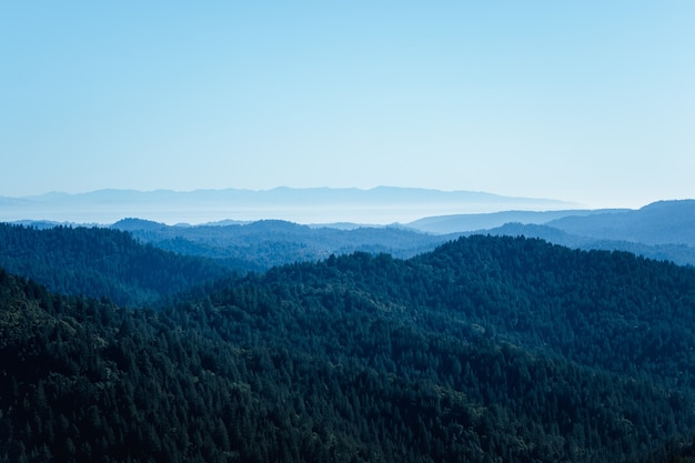 Árboles verdes en la montaña bajo un cielo azul durante el día