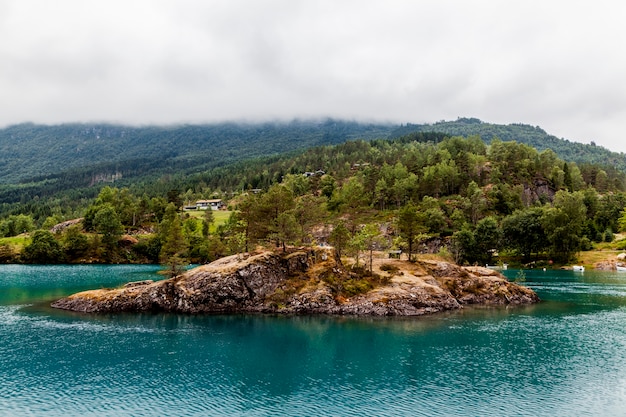 Árboles verdes sobre la colina en el lago azul