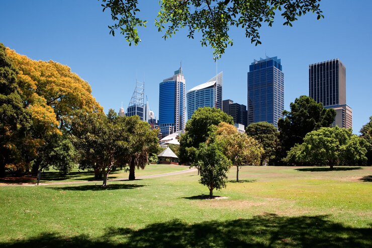 Foto gratuito real jardín botánico de sydney, australia