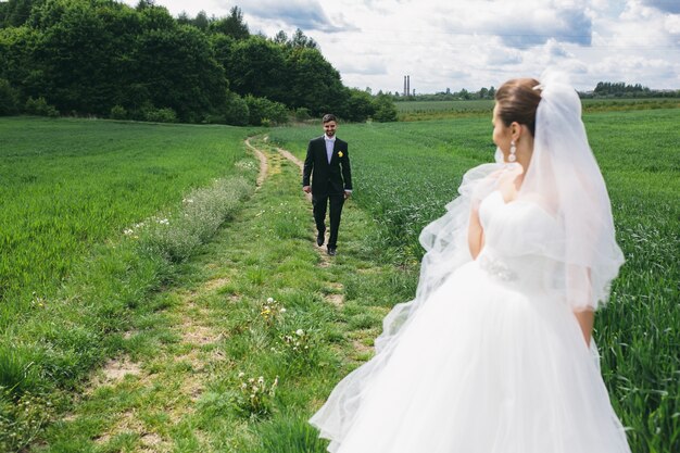 Recién casados caminando por la pradera