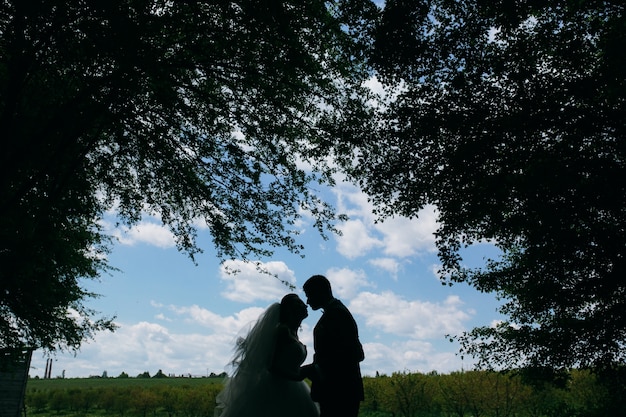 Recién casados cariñosos con el cielo de fondo