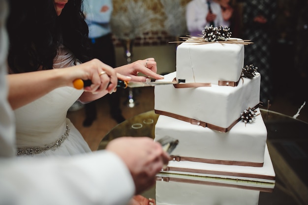 Foto gratuita recién casados cortando juntos el pastel nupcial