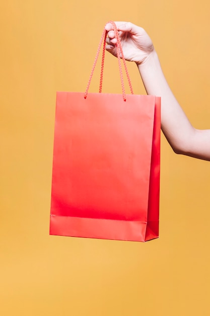 Recortar mano femenina con bolsa de papel