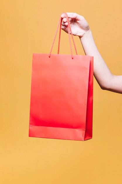 Recortar mano femenina con bolsa de papel