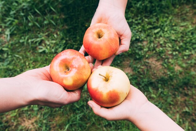 Recortar las manos con manzanas sabrosas