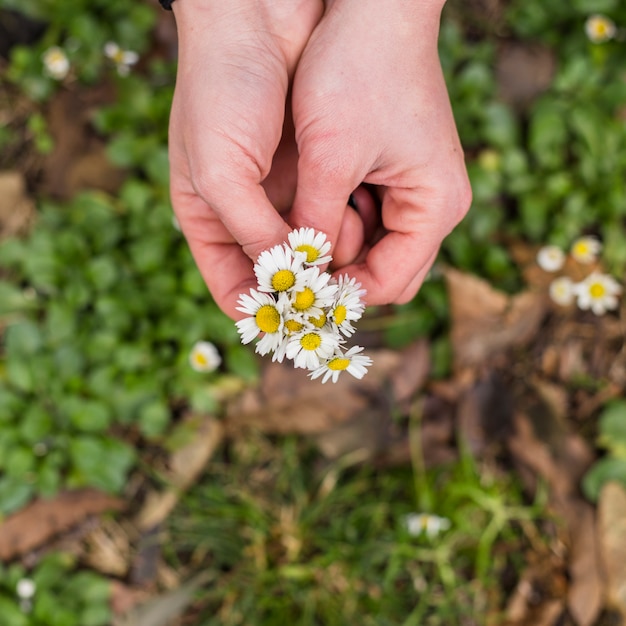 Recortar manos con pila de flores.