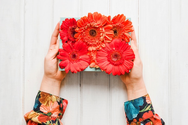 Foto gratuita recortar manos sosteniendo gerberas rojas