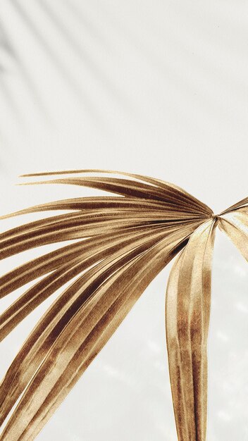 Recurso de diseño de fondo de hojas de palma dorada