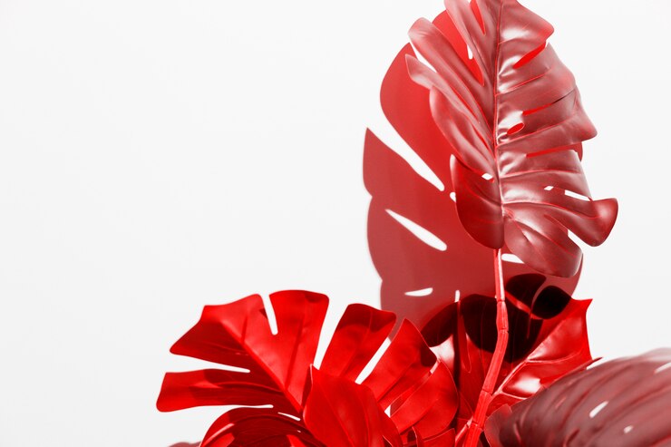 Photo Gratis red monstera leaves on white background