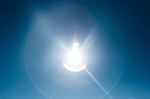 Foto gratuita reflejo de luz solar