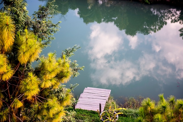 Foto gratuita reflexión del celaje en la superficie del río