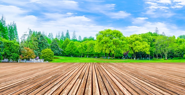 Reflexión madera sol césped productos naturales campo