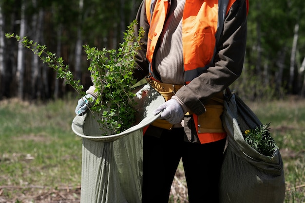 Reforestación realizada por grupo voluntario