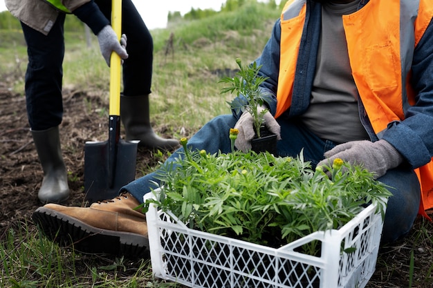 Reforestación realizada por grupo voluntario