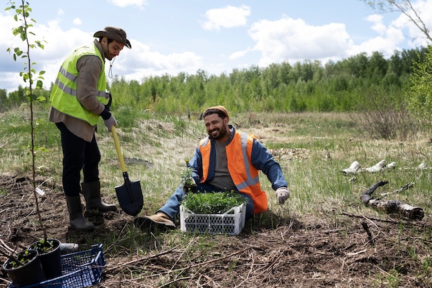 Reforestación realizada por grupo voluntario