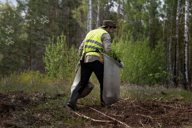 Reforestación realizada por grupo voluntario