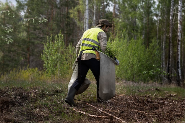 Reforestación realizada por grupo voluntario