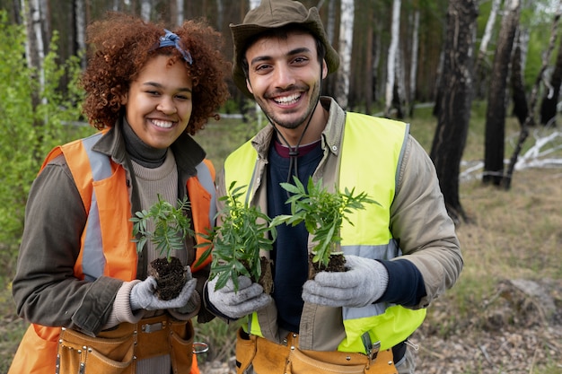 Reforestación realizada por grupo voluntario